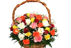 Mixed Roses Basket