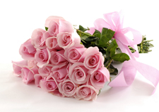 Pink Roses