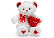 Teddy Bear