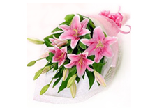 Pink Lillies